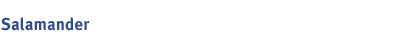 Title-Salamander